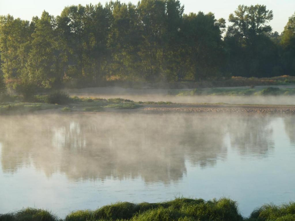Le Vieux Vauvert Bed and Breakfast Rochecorbon Esterno foto
