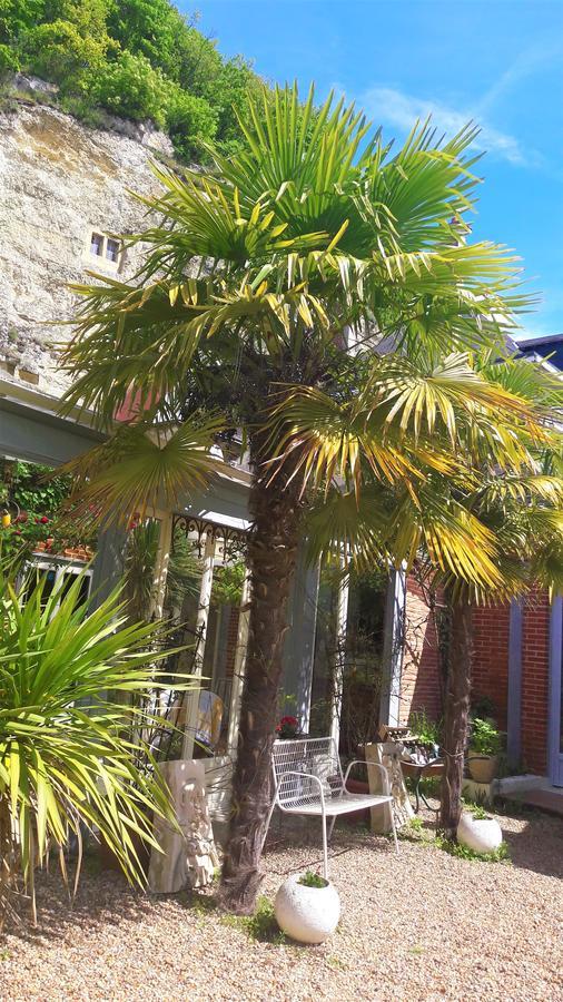 Le Vieux Vauvert Bed and Breakfast Rochecorbon Esterno foto