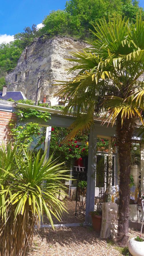 Le Vieux Vauvert Bed and Breakfast Rochecorbon Esterno foto