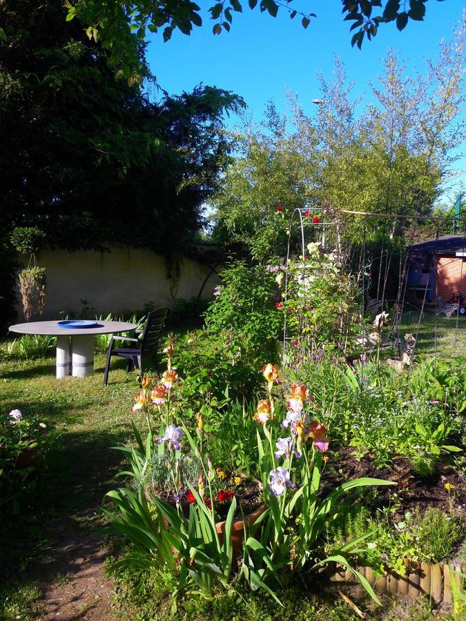 Le Vieux Vauvert Bed and Breakfast Rochecorbon Esterno foto
