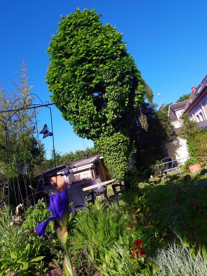 Le Vieux Vauvert Bed and Breakfast Rochecorbon Esterno foto